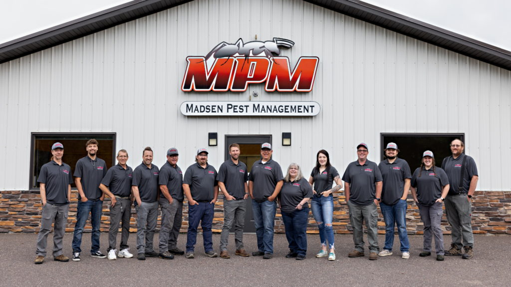 mpm n8 case study